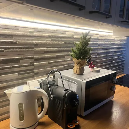 Old Town Loft * 维尔纽斯